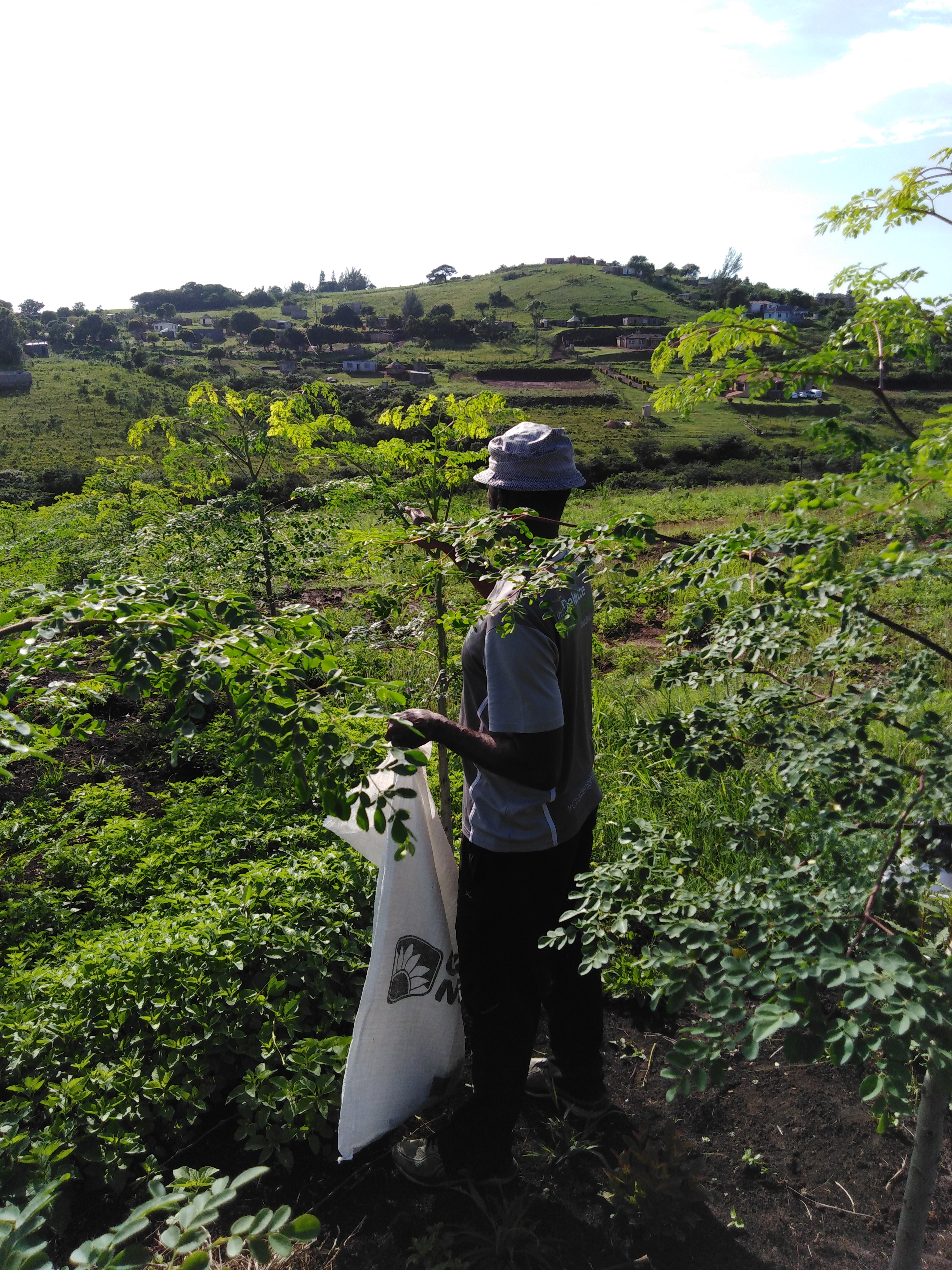 Upload up to 8 additional images.