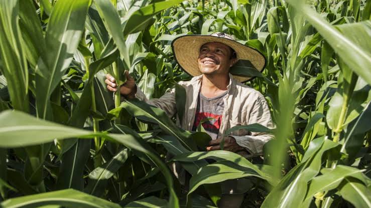 Upload up to 8 additional images.