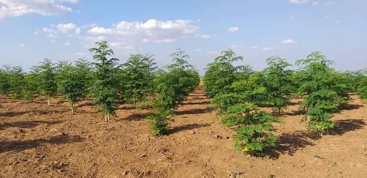 Upload up to 8 additional images.