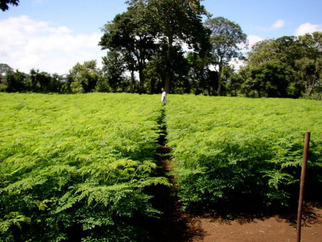 Upload up to 8 additional images.