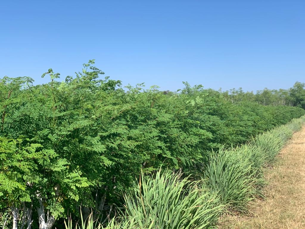 Upload up to 8 additional images.