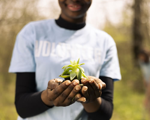 Upload up to 8 additional images.