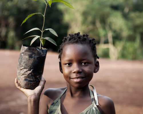 Upload up to 8 additional images.