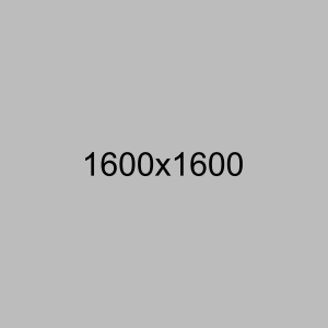 Suspendisse id luctus metus