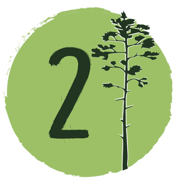 Two Trees