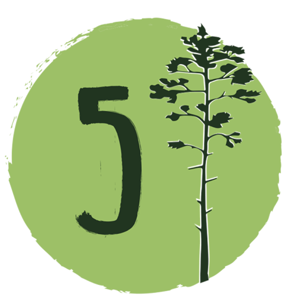 Five Trees