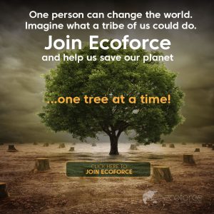 Advocate3_800x800 Join EcoForce