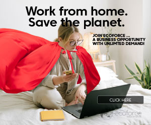 Advocate_BusOp2_300x250