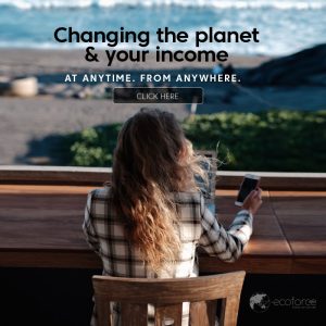 Advocate_Young_800x800