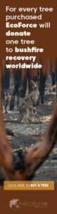Bushfires1_160x600
