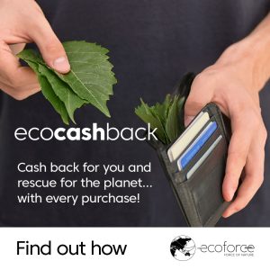 Cashback_1080x1080