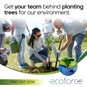 Corporate_Planting_1080x1080-1