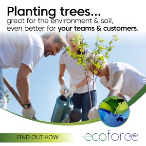 Corporate_Planting_1080x1080-2