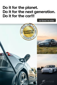 EcoGOLD_cars_1000x1500