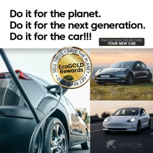 EcoGOLD_cars_800x800