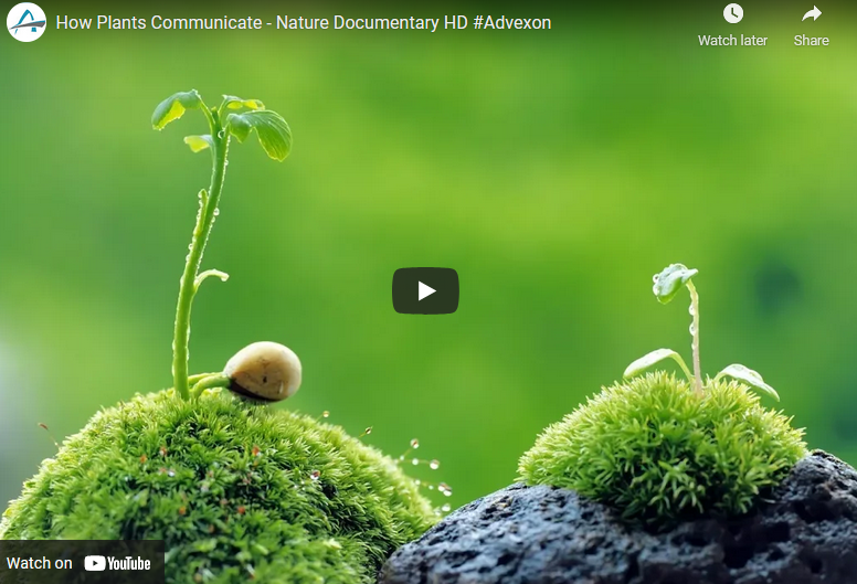 How Plants Communicate EcoForce Global