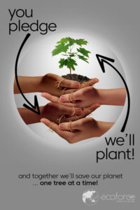 Pledge_Plant_1000x1500