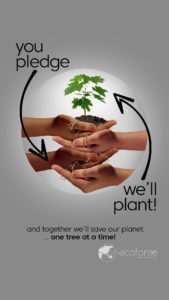 Pledge_Plant_1080x1920