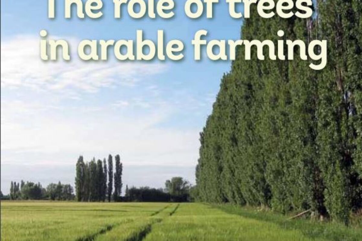 The Role Of Trees In Arable Farming