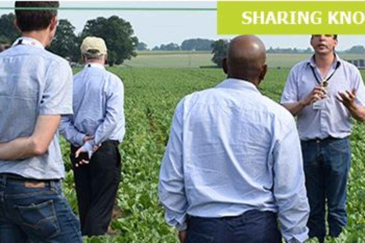 Reducing Emissions In Agriculture