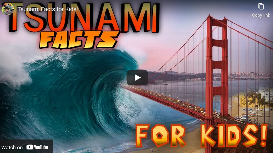 FACTS ABOUT THE 2004 TSUNAMI FOR KIDS intelligence overview