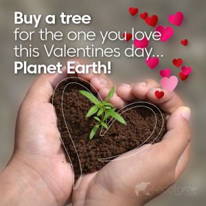 VD_PlanetEarth_800x800