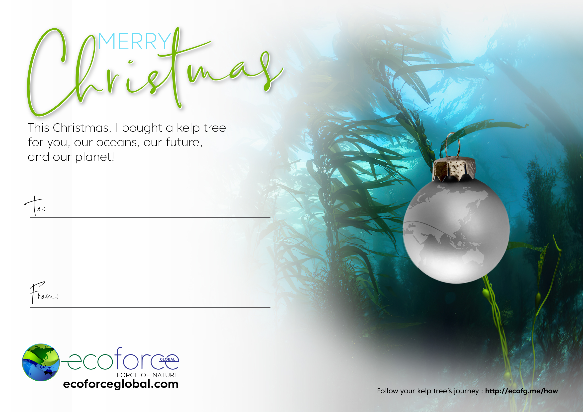 XMAS_kelp_certificate