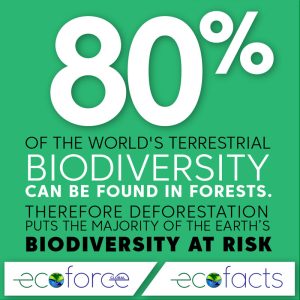 biodiversity_800x800