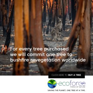 bushfire_800x800_kanga