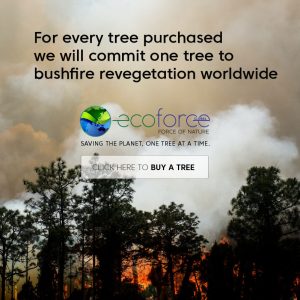 bushfire_800x800_smoke