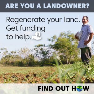 insta_landowner1_800x800