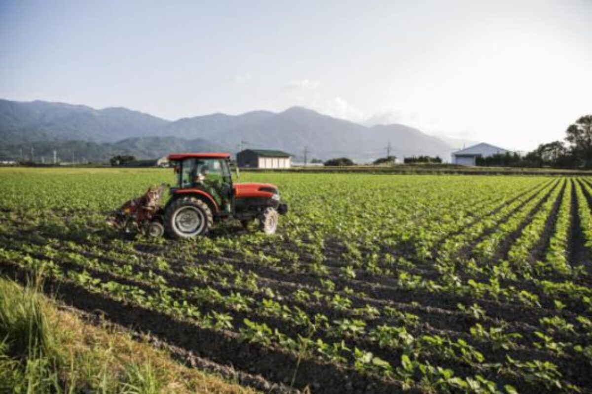 Dispelling Common Misconceptions About Farming And Farmers In The United States